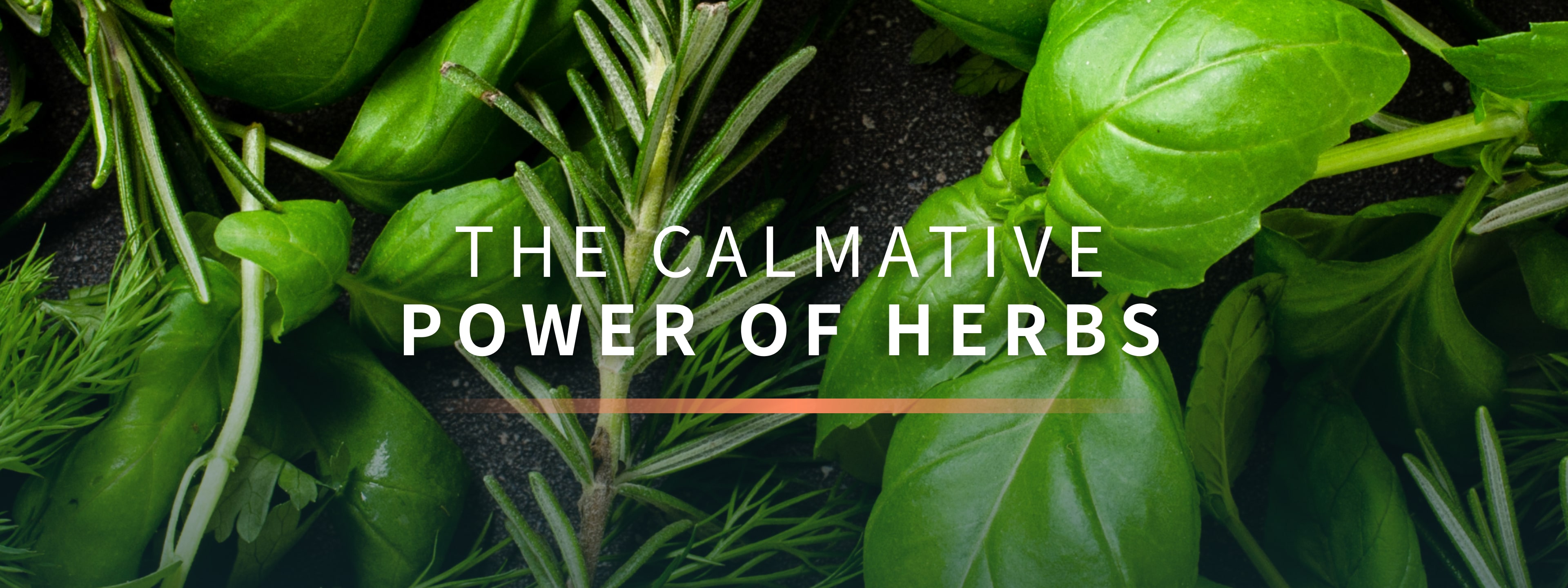 Calmative Power of Herbs