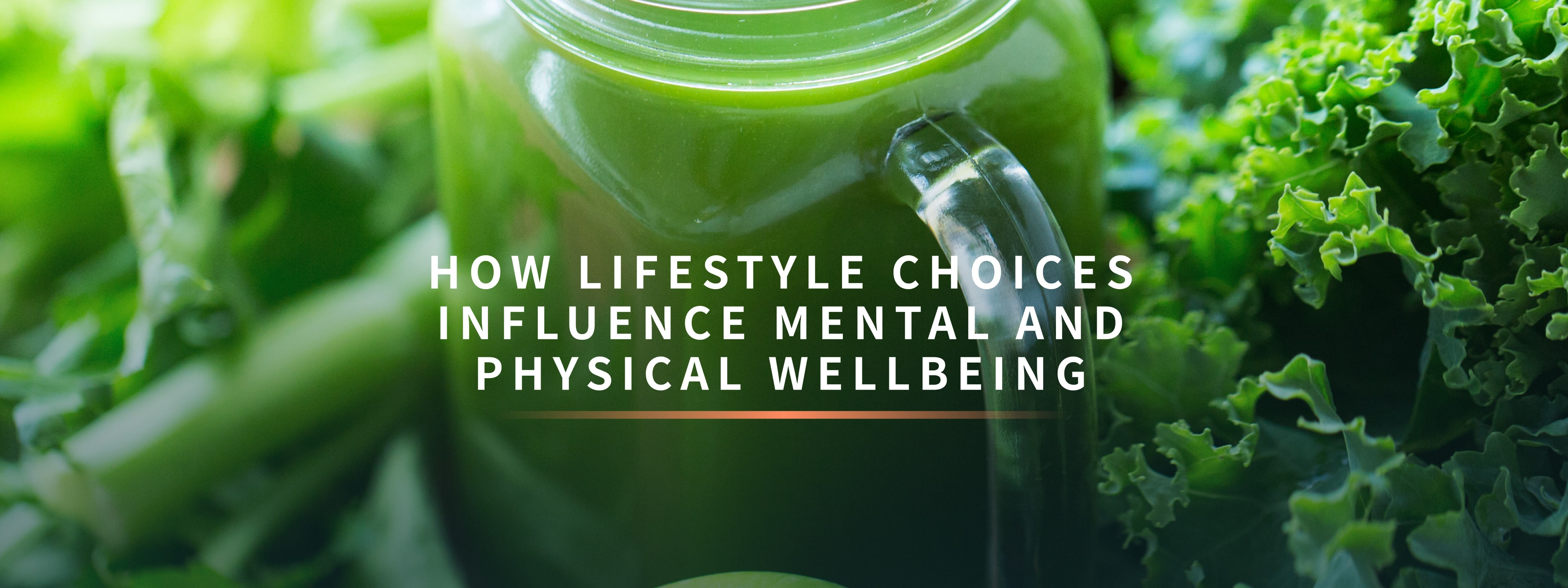 Lifestyle Choices Blog2x Min